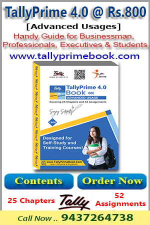 TallyPRIME-3.* Book (Advanced Usage)